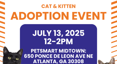 Cat and Kitten Adoption Event at Petsmart Midtown on July 13 Cat and Kitten Adoption Event at Petsmart Midtown on July 13