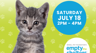 Kitten & Cat Adoption Event - PetSmart Buckhead (7/18)