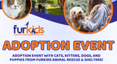 Massive Adoption Event at Furkids Headquarters! Massive Adoption Event at Furkids Headquarters!