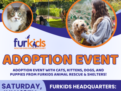 Massive Adoption Event at Furkids Headquarters!