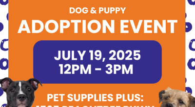 Dog and Puppy Adoption Event at Pet Supplies Plus