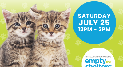 Kitten & Cat Adoption Event - PetSmart Johns Creek (7/25)