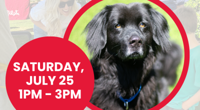 Dog adoptions at PetSmart Peachtree Corners