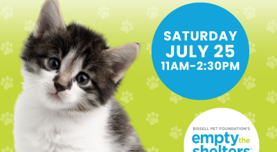 Kitten & Cat Adoption Event - PetSmart Woodstock (7/25)