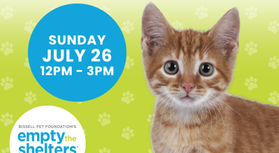 Kitten & Cat Adoption Event - PetSmart Woodstock (7/26)