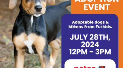 Petco in Cumming Adoption Event (Featuring Furkids dogs and kittens)