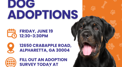 Dog Adoptions at Crabapple Goals on the Green
