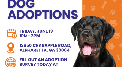 Dog Adoptions at Crabapple Goals on the Green