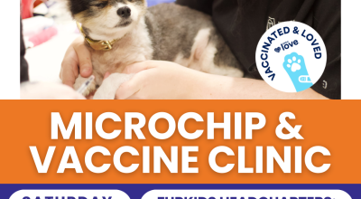 Vaccine Clinic - June 27