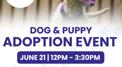 Dog and Puppy Adoption Event at Regal Dog and Puppy Adoption Event at Regal