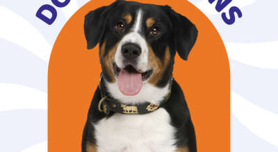 Dog Adoptions at Crabapple Market