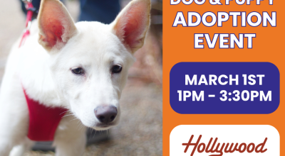 Dog and Puppy Adoption Event at Hollywood Feed