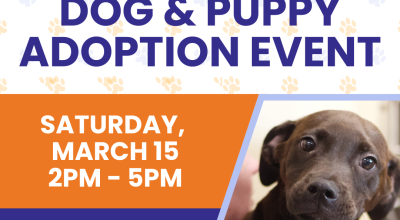 Dog and Puppy Adoption Event at Peachtree Corners Town Green