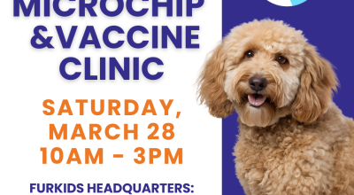 Vaccine Clinic - March 28