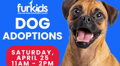 Dog Adoptions at PetSmart Perimeter April 25
