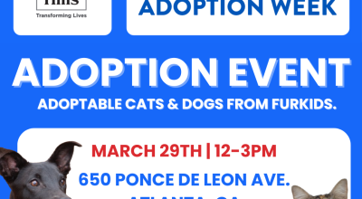 Cats and Dogs Adoption Event at PetSmart Midtown