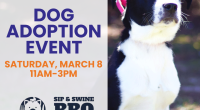 Dog Adoption Event at the Sip & Wine BBQ Festival!