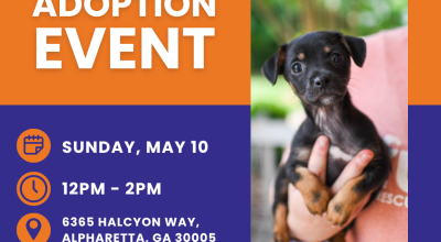 Adoption Event | Mother's Day at Halcyon