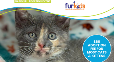 Cat and Kitten Adoption Event at Petsmart Woodstock May 2nd