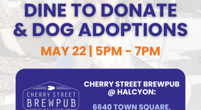 Dine to Donate! With Adoptable Furkids Dogs