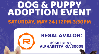 Dog and Puppy Adoption Event at Regal Avalon Dog and Puppy Adoption Event at Regal Avalon