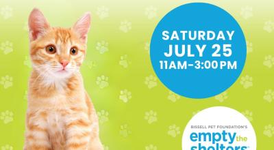 Kitten & Cat Adoption Event - PetSmart Mall of Georgia (7/25)