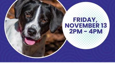 Dog Adoptions @ Crabapple Green Holiday Market | November 13th