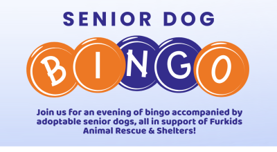 Senior Dog Bingo - Nov 8