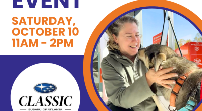 Dog Adoptions at Classic Subaru - Oct 10