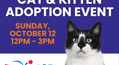 Cat and Kitten Adoption Event at Petsmart Woodstock Oct 11
