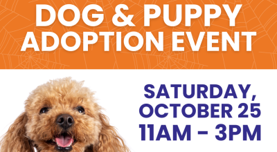 Dog and Puppy Adoption Event at Halcyon October 25, 2025