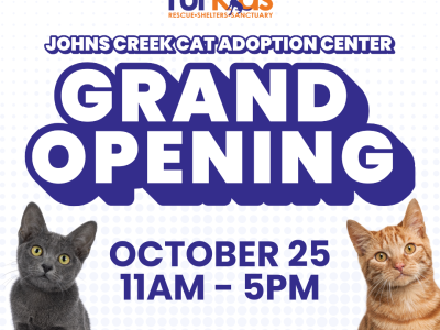 Johns Creek Adoption Center Grand Opening!