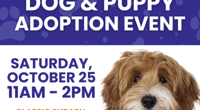 Dog and Puppy Adoption event at Subaru October 25 Dog and Puppy Adoption event at Subaru October 25