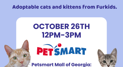 Adoption Event at the Mall of Georgia PetSmart! (Cats and Kittens)