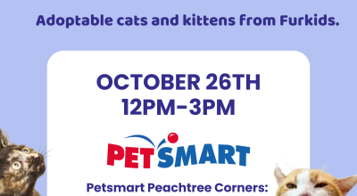 PetSmart Peachtree Corners Adoption Event! (Cats and Kittens)