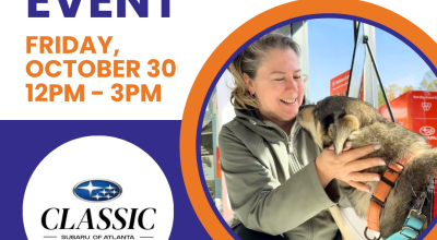 Adoption Event at Subaru
