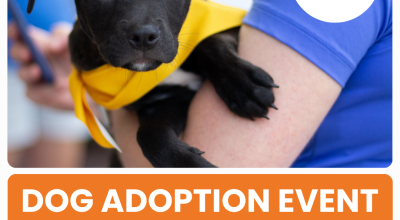Dog and Puppy Adoption Event at Crabapple Fest