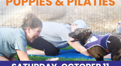 Puppies & Pilates With Club Pilates Atlanta