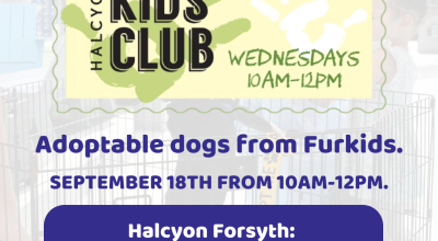 Halcyon Kids Club With Adoptable Dogs