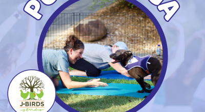 Puppy Yoga at Furkids HQ