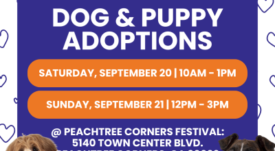 Dog and Puppy Adoption Event at the Peachtree Corners Festival