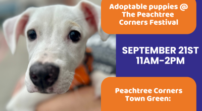 Peachtree Corners Festival With Adoptable Dogs