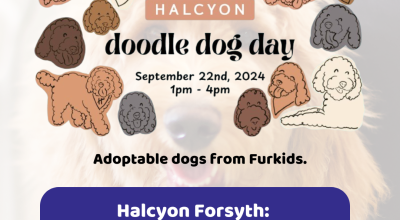 Doodle Day at Halcyon (With Furkids Dogs)