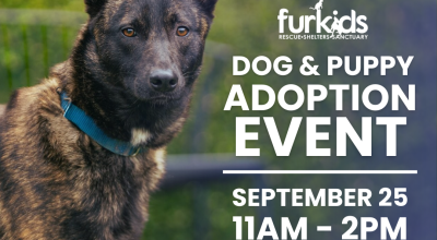 Dog and Puppy Adoption Event at Peachtree Green Market