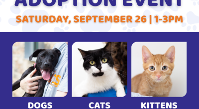 Cat, Kitten, and Dog Adoption Event at PetSmart Johns Creek (Sept 26)