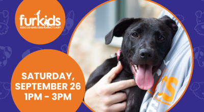 Dog Adoptions at PetSmart Johns Creek