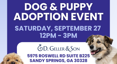 Dog and Puppy Adoption Event at D. Geller & Son Sandy Springs