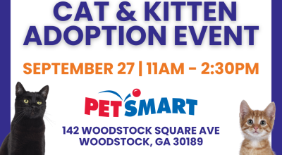 Cat and Kitten Adoption Event in Woodstock