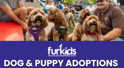 Dog and Puppy Adoption Event at Halcyon September 28