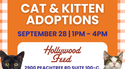 Cat & Kitten Adoption Event at Hollywood Feed September 28